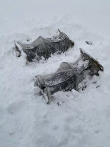 雪に埋もれたほうれん草と水菜