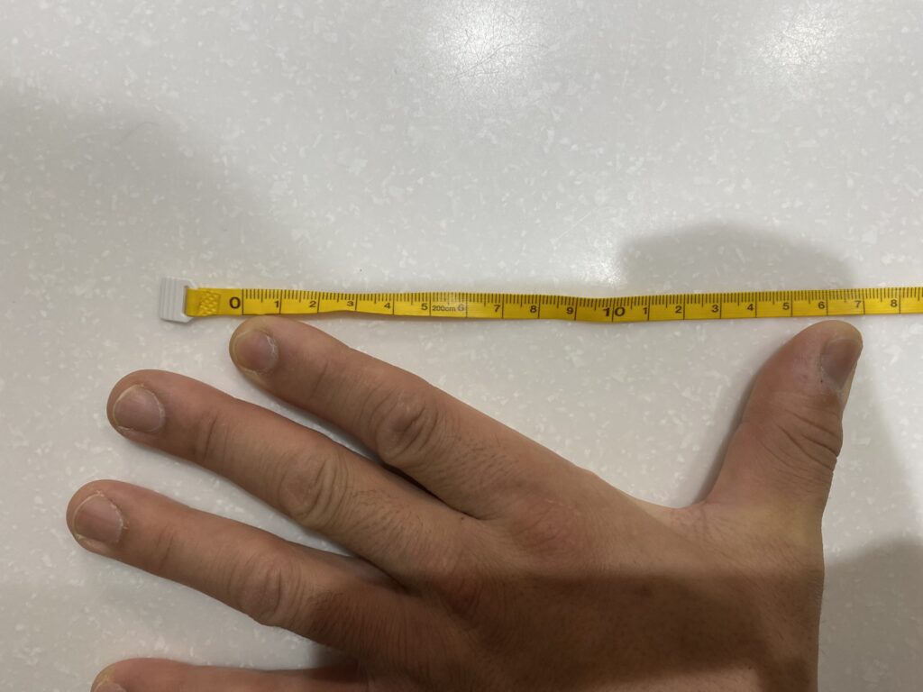 手尺17ｃｍ
