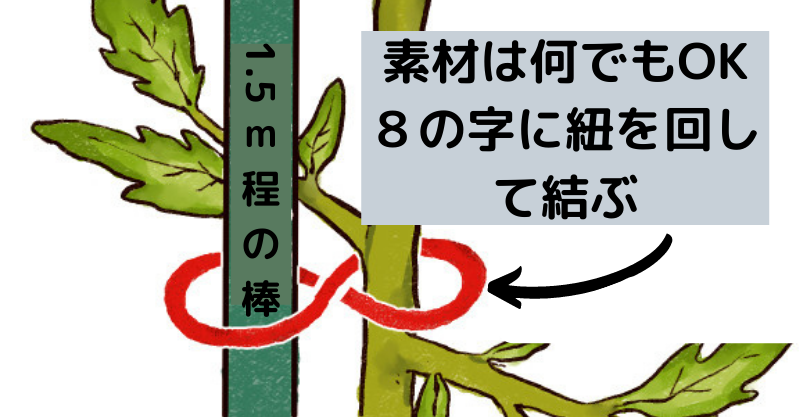 誘引の方法
