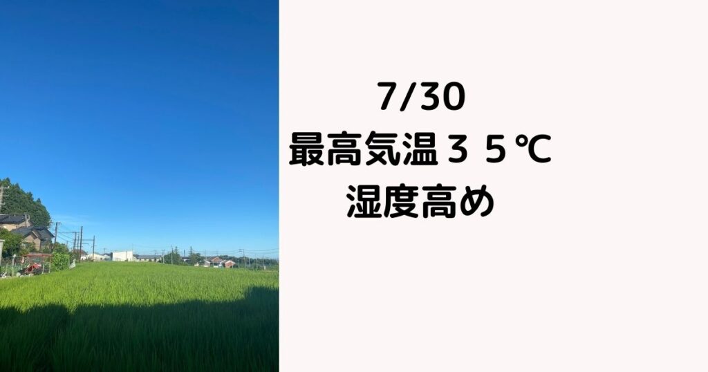 毎日３５℃越え