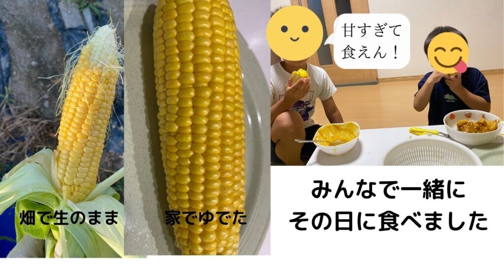 食べてみたよ!
