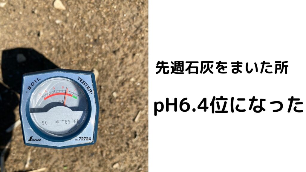 PH6.4