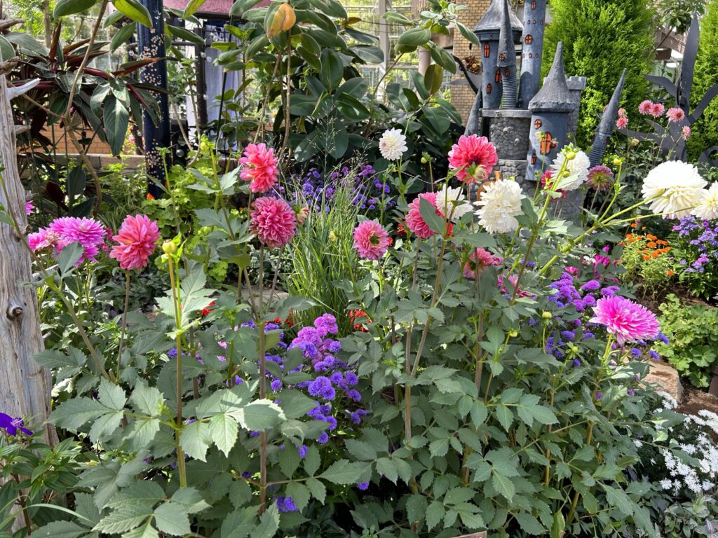 近くの公園の様子