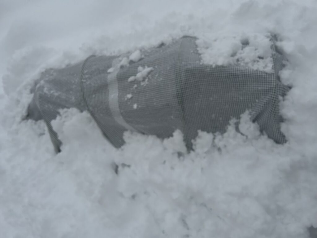 ビニールシートが雪に埋まる