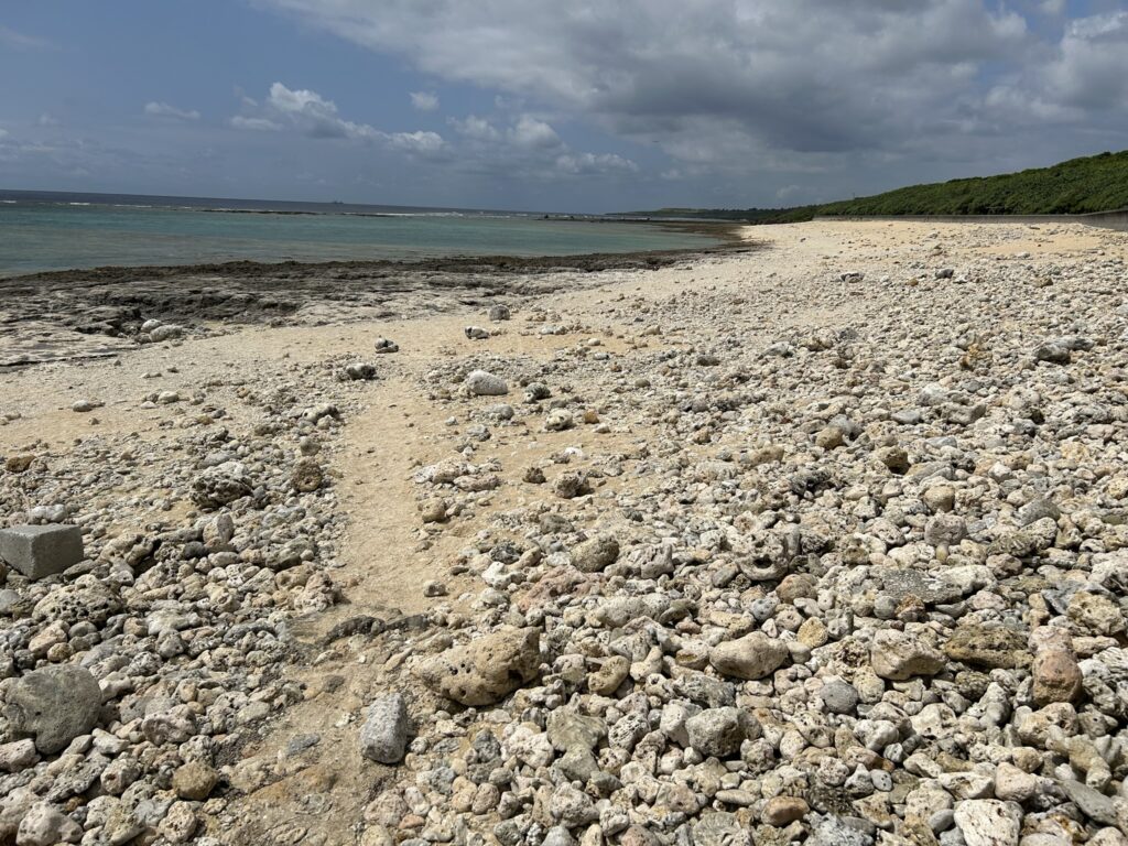 海よりも砂に興味がわく