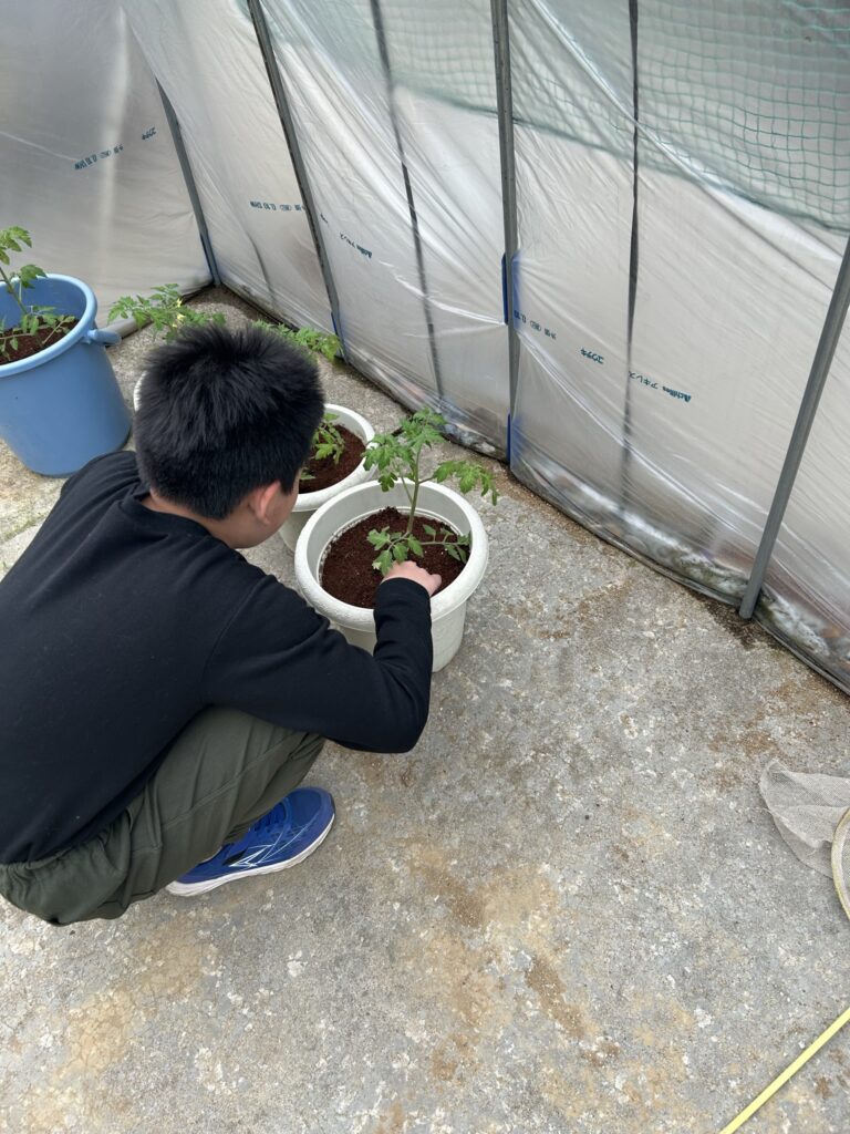 植え付けを手伝ってくれた上の子