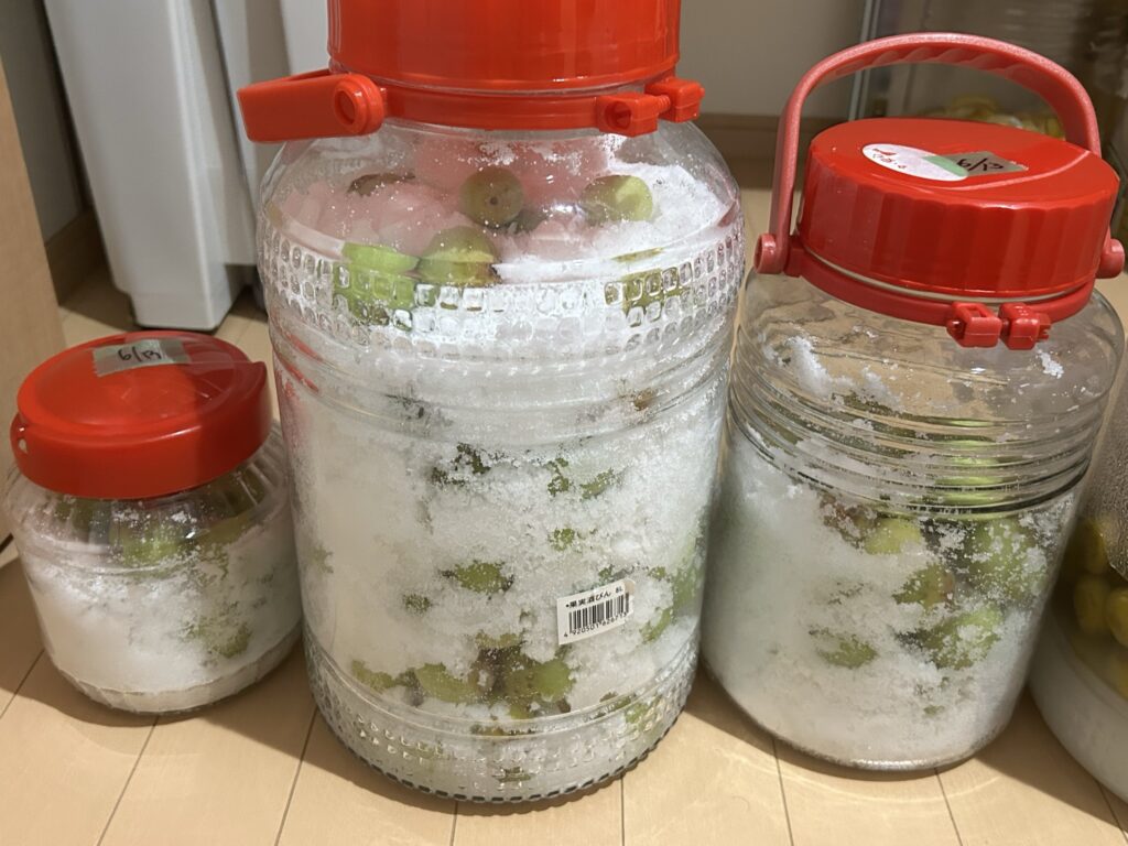 最後に追加で5㎏つけた梅