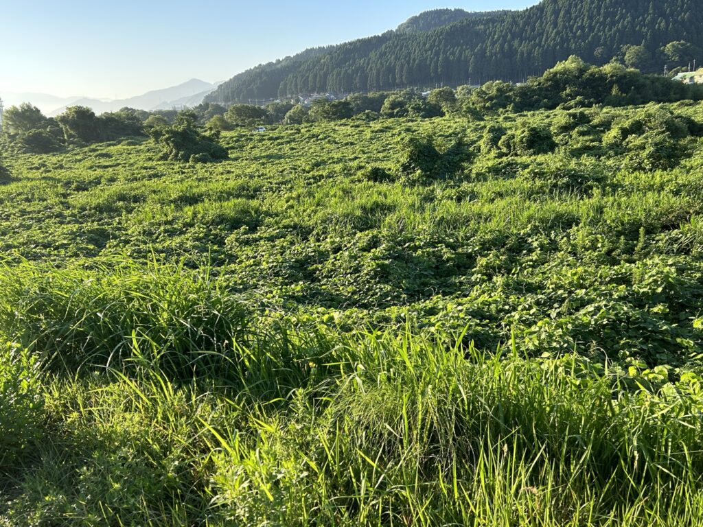 ジョギングをする時に見る風景